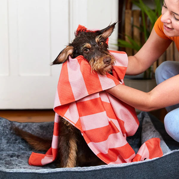Dock & Bay Dog Towel - Canine Coral - Large 120x70cm