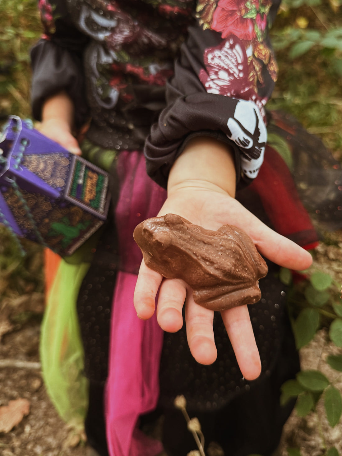 The Chocolate Gift Company - The Magic Frogs