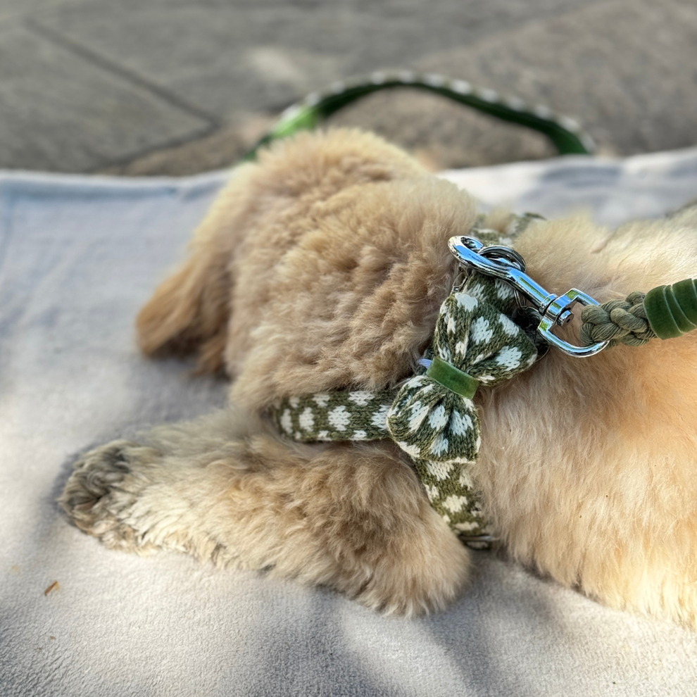 Stocky & Dee Harris Design - Fern - Dog Bow Tie