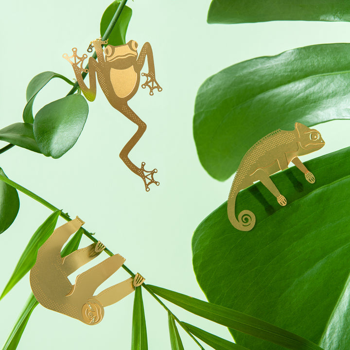 Another Studio's Plant Animal Sloth