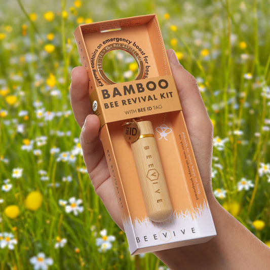 Beevive Ltd - The Original Bamboo Bee Revival Kit with Bee ID tag