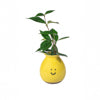 Sass & Belle Happy Vase