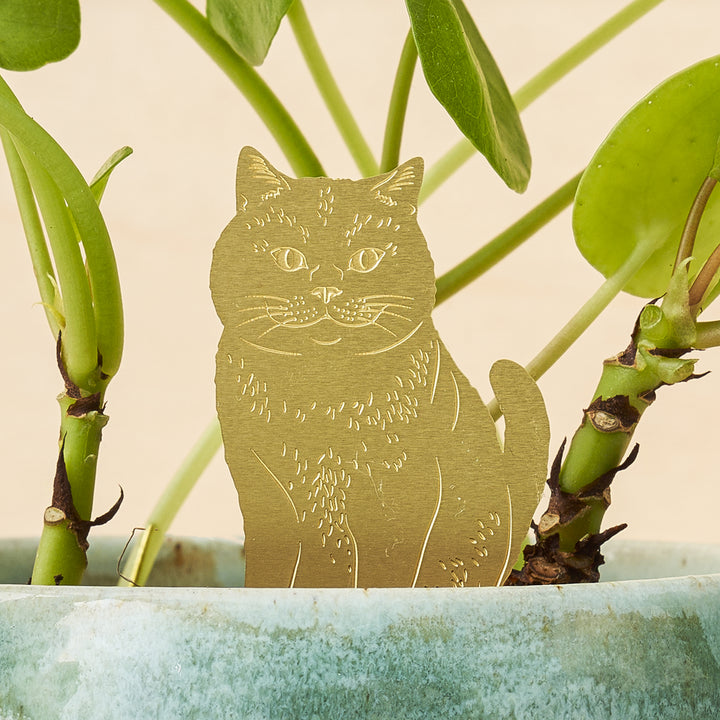Another Studio's Plant Animal - Plant Animal Cat