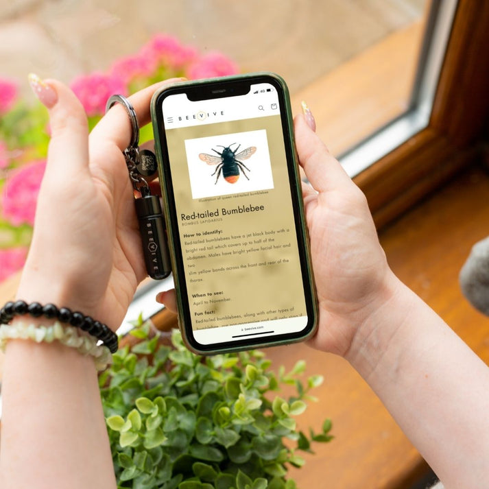 Beevive Ltd - The Original Bamboo Bee Revival Kit with Bee ID tag