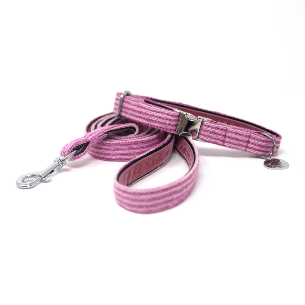 Stocky & Dee Sugarplum - Tutti Collection - Luxury Dog Collar