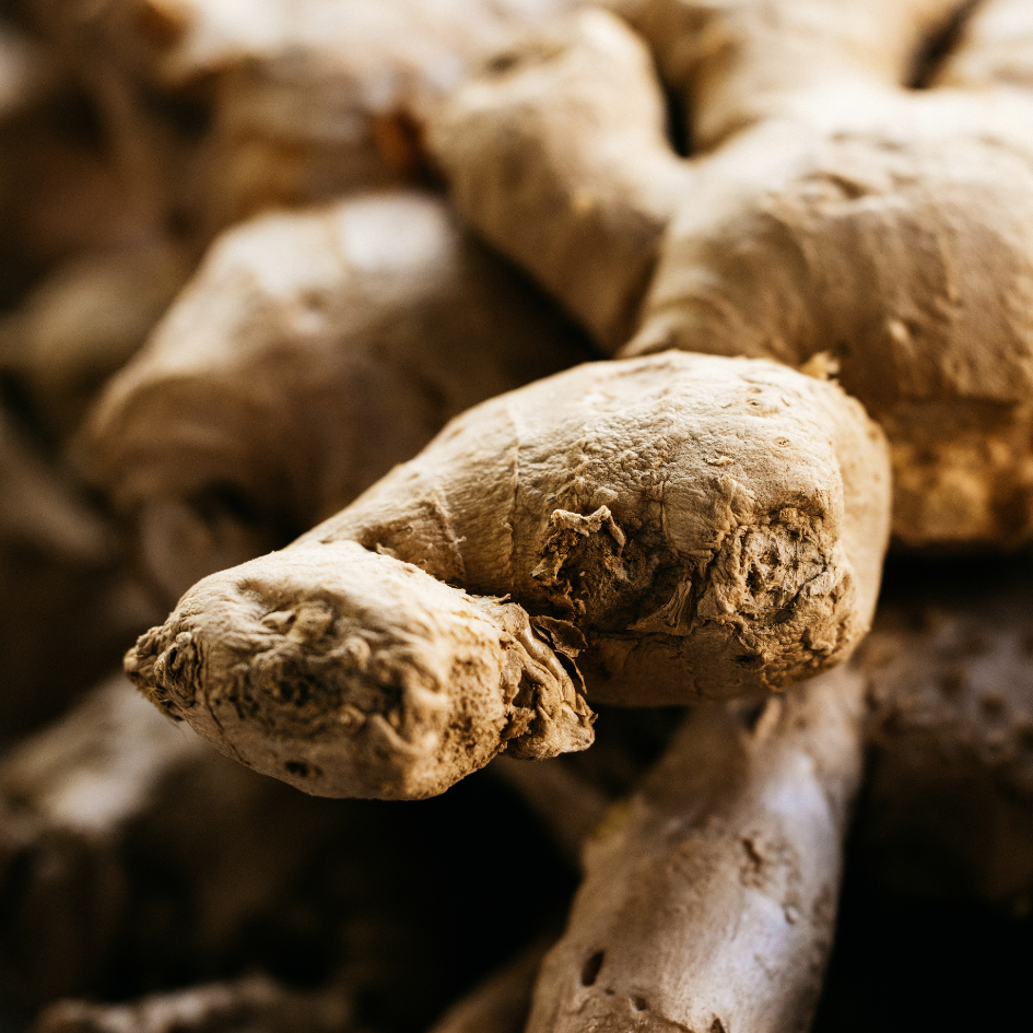St Eval Ginger & Lemongrass, Diffuser Refill