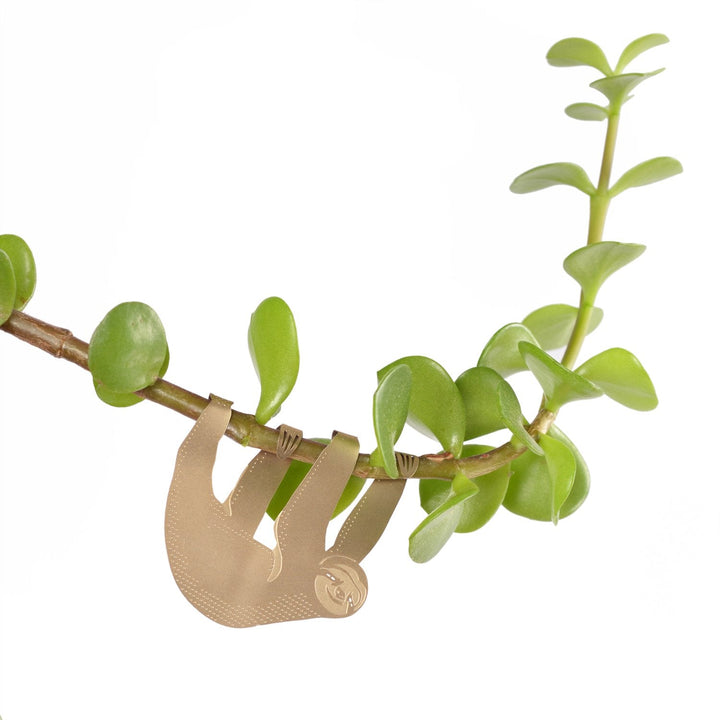 Another Studio's Plant Animal Sloth