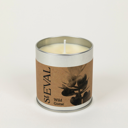 St Eval Wild Gorse, Scented Tin Candle