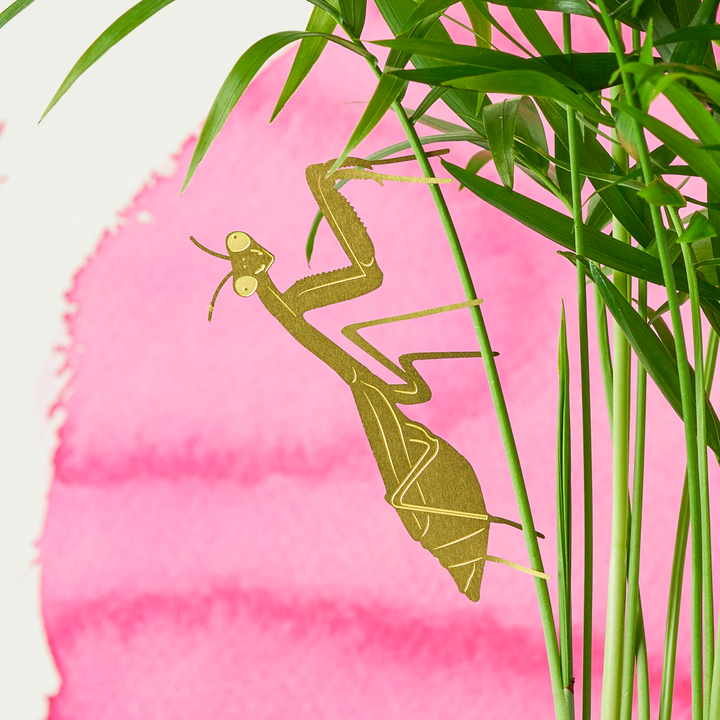 Another Studio's Plant Animal - Plant Animal Praying Mantis