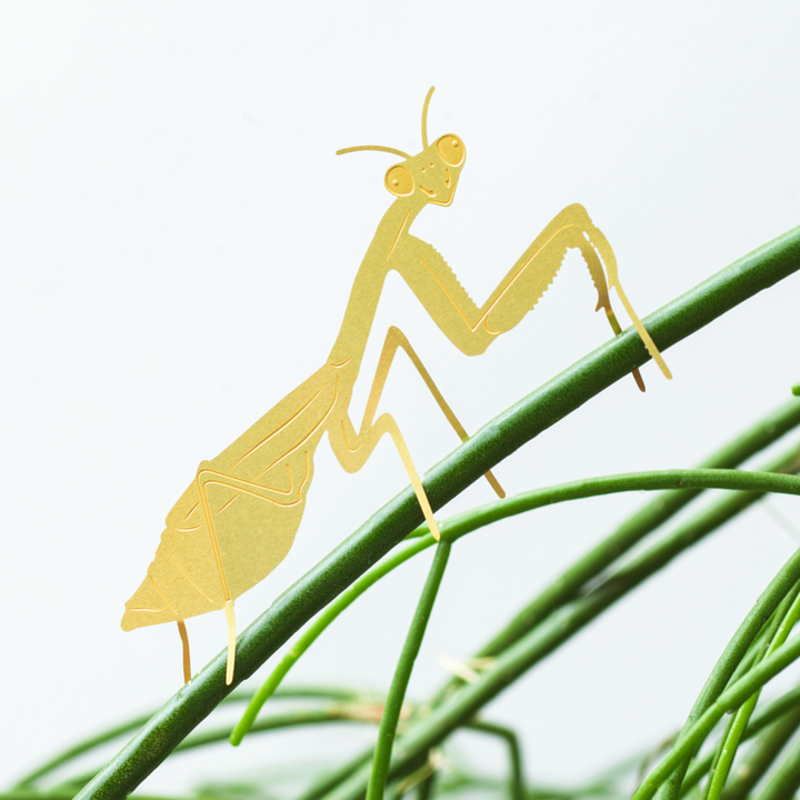 Another Studio's Plant Animal - Plant Animal Praying Mantis