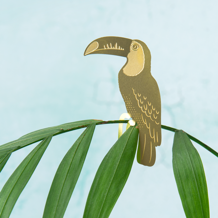 Another Studio's Plant Animal - Plant Animal Toucan
