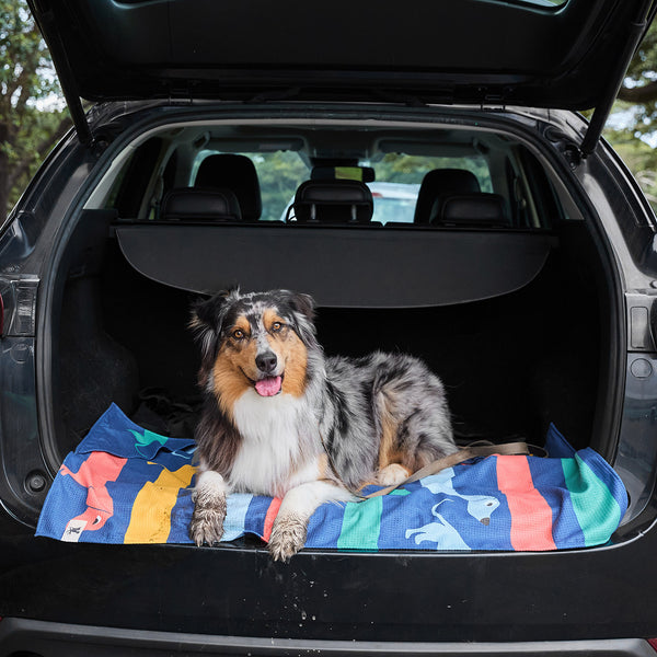 Dock & Bay Dog Towels - Go Long - Medium  (90x50cm)