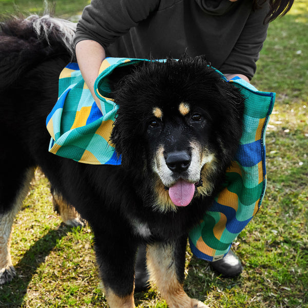 Dock & Bay Dog Towel - Puppy Plaid Large 120x70cm