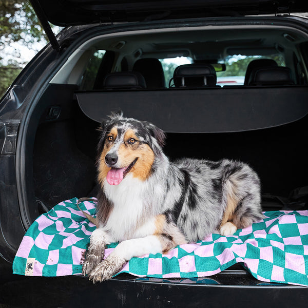 Dock & Bay Dog Towels - Check Mutt - Medium  (90x50cm)