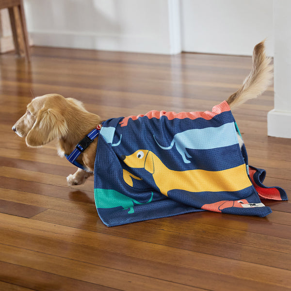 Dock & Bay Dog Towels - Go Long - Medium  (90x50cm)