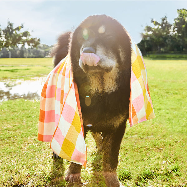 Dock & Bay Dog Towel - Rhubark & Custard Large 120x70cm