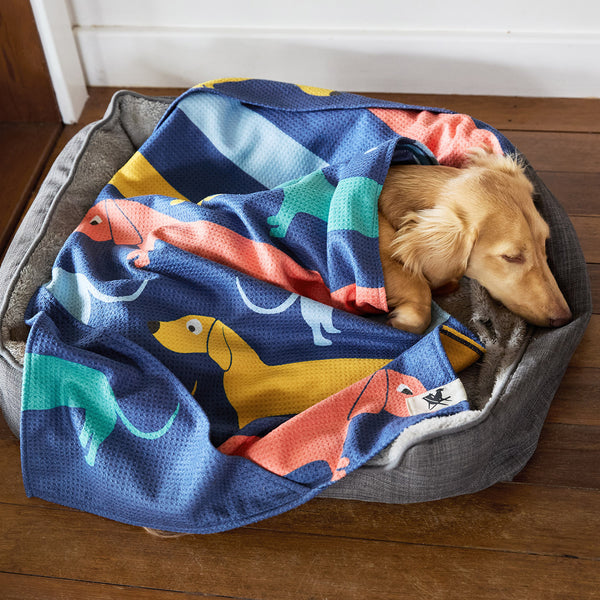 Dock & Bay Dog Towels - Go Long - Medium  (90x50cm)