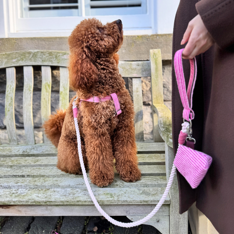 Stocky & Dee Sugarplum - Tutti Collection - Treat Pouch