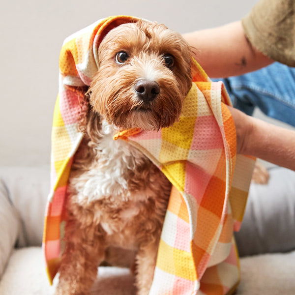 Dock & Bay Dog Towel - Rhubark & Custard Large 120x70cm