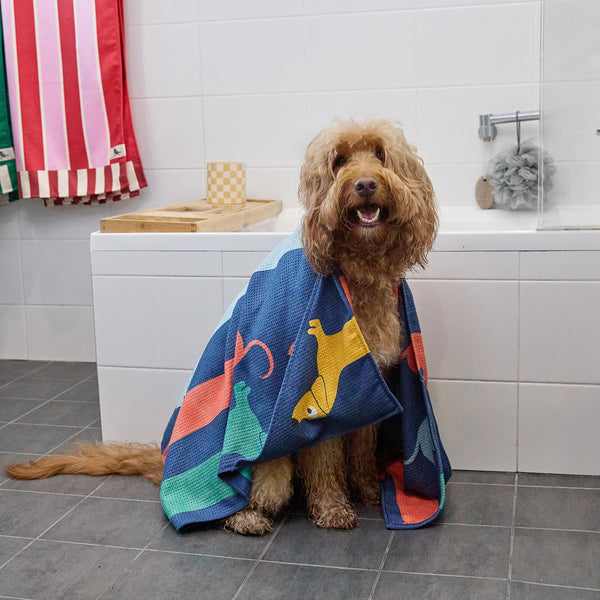 Dock & Bay Dog Towels - Go Long - Medium  (90x50cm)