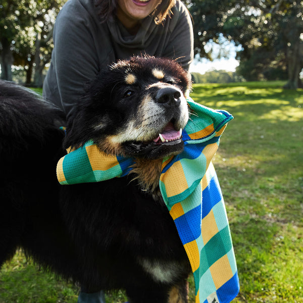 Dock & Bay Dog Towel - Puppy Plaid Large 120x70cm