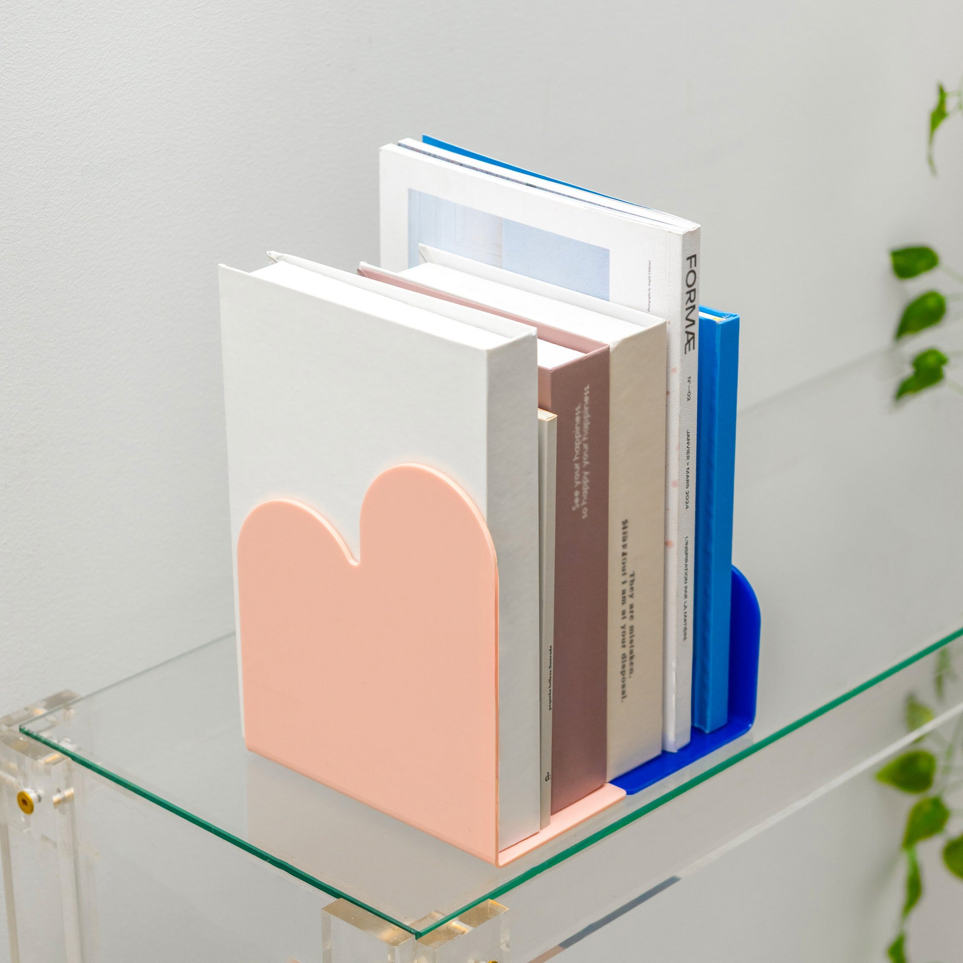 Pink and blue abstract bookends holding books on a glass shelf with a plant in the background