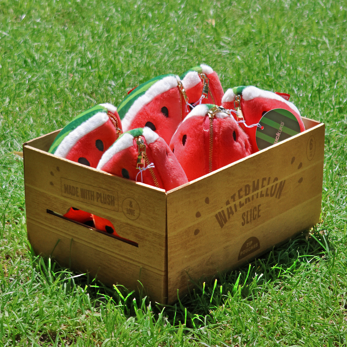 Plush Watermelon Zip Pouch