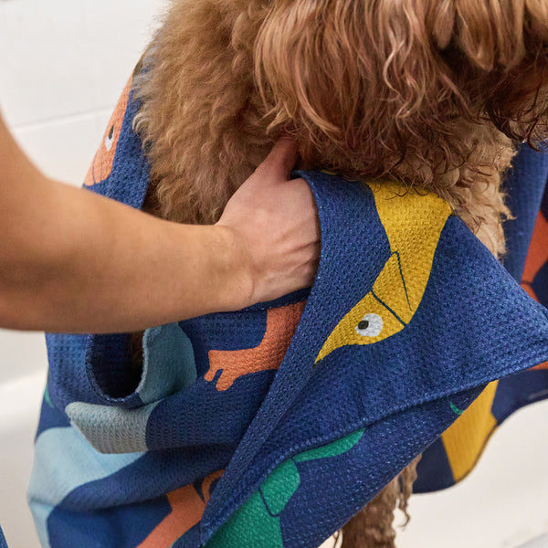 Dock & Bay Dog Towels - Go Long - Medium  (90x50cm)