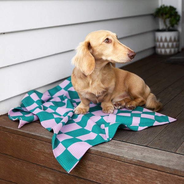 Dock & Bay Dog Towels - Check Mutt - Medium  (90x50cm)