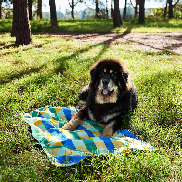 Dock & Bay Dog Towel - Puppy Plaid Large 120x70cm