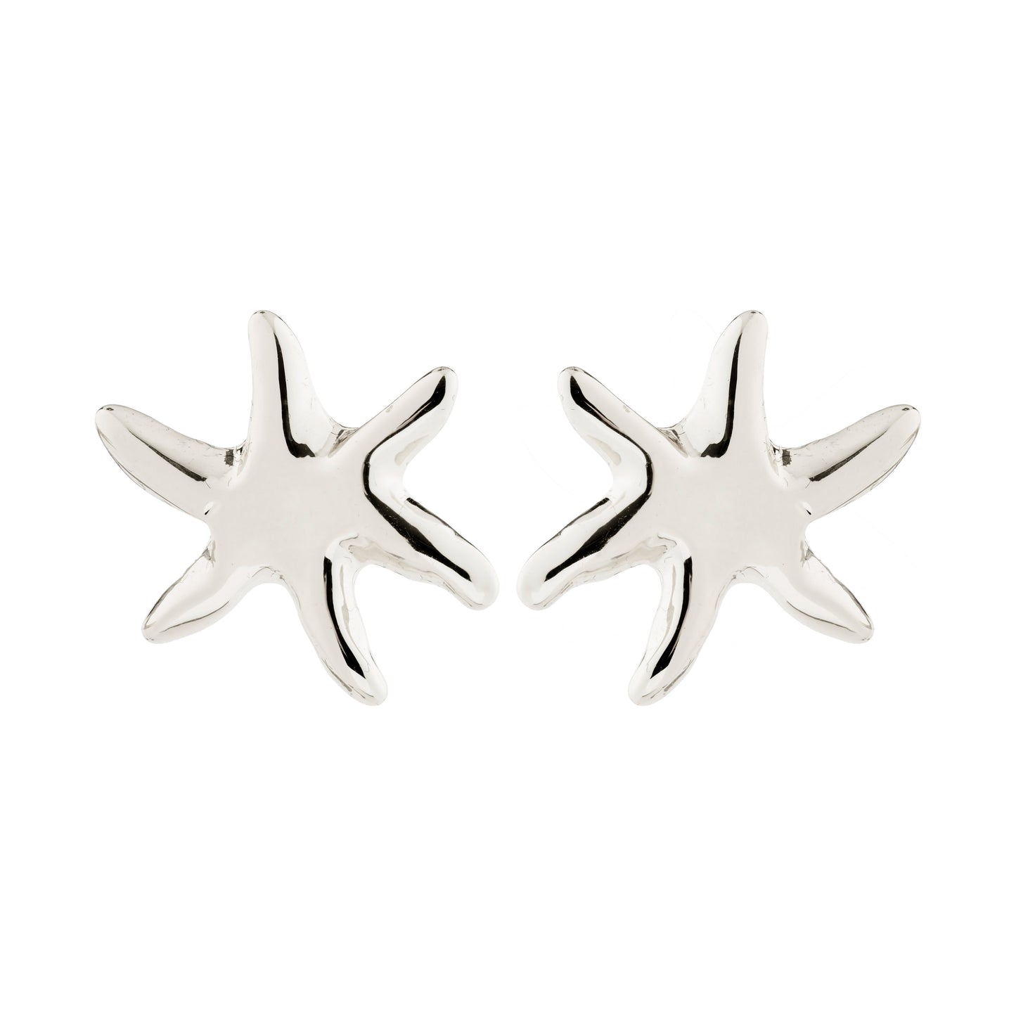 Silver starfish earrings on a white background