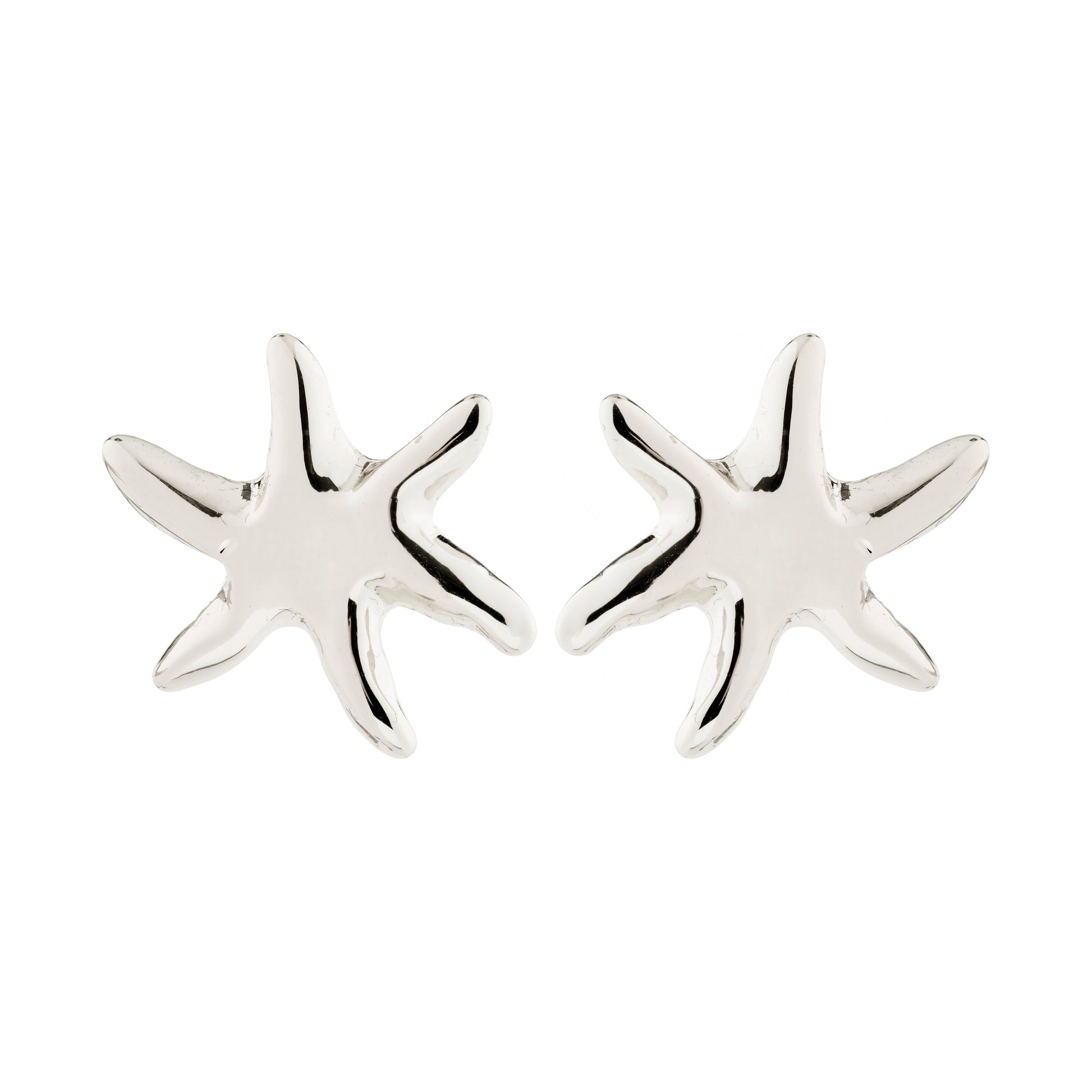 Silver starfish earrings on a white background