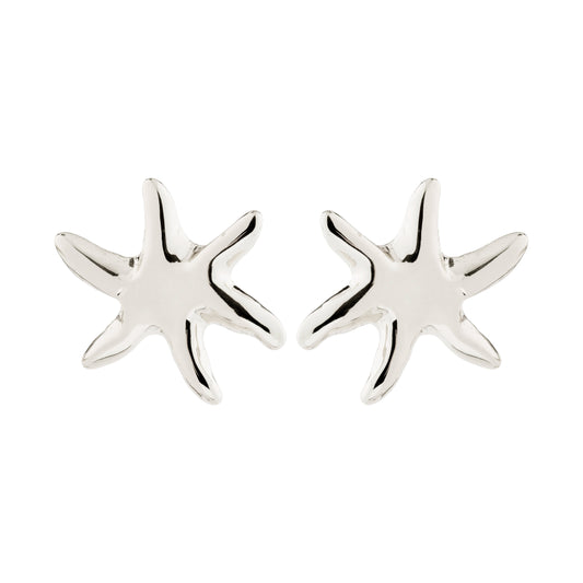 Silver starfish earrings on a white background