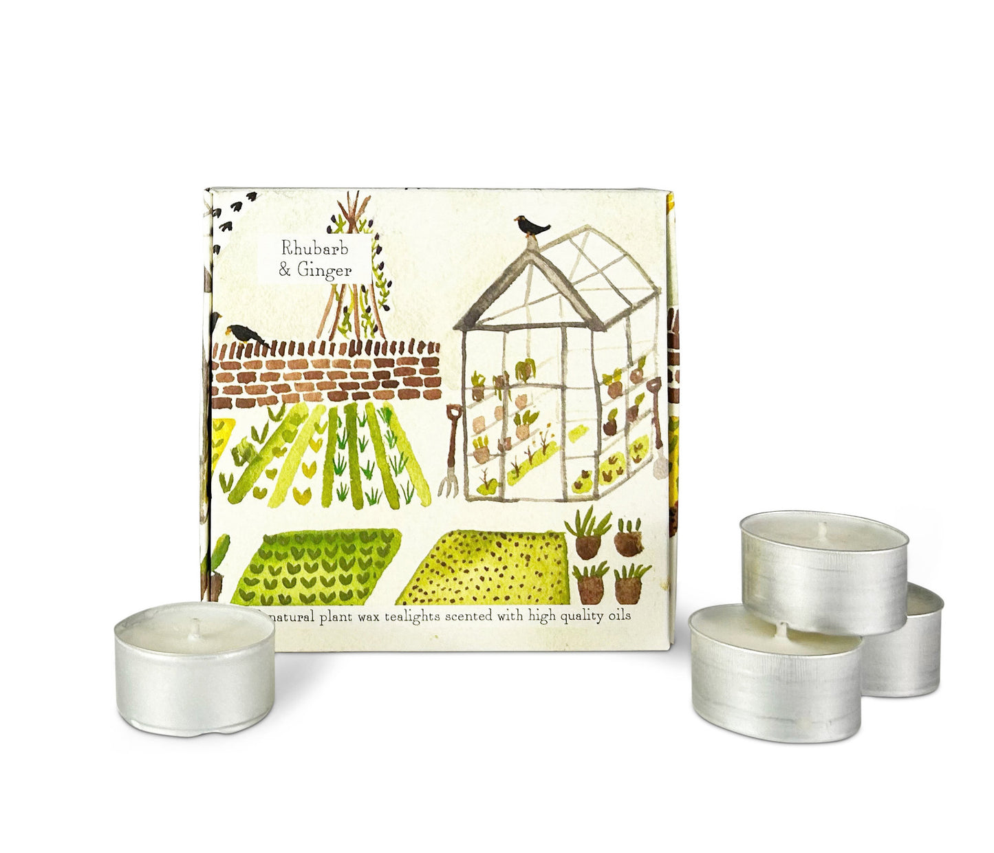 Heaven Scent Illustrated Box of 9 Scented Spring/ Summer Tealights Rhubarb & Ginger