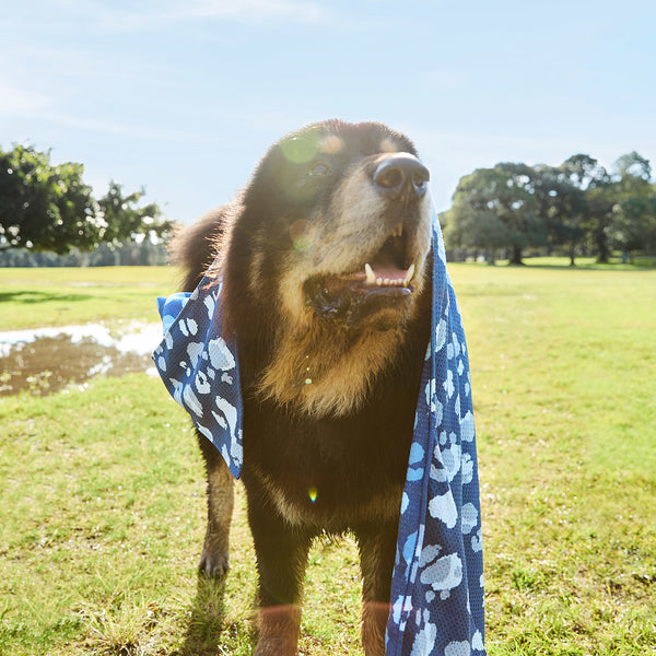 Dock & Bay Dog Towel - K9 Camo Large 120x70cm