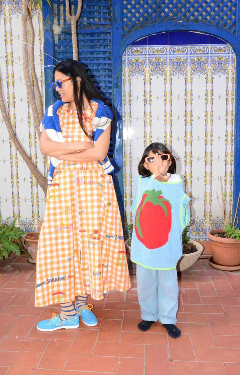 Dr Bloom Jaleo Vichy Skirt