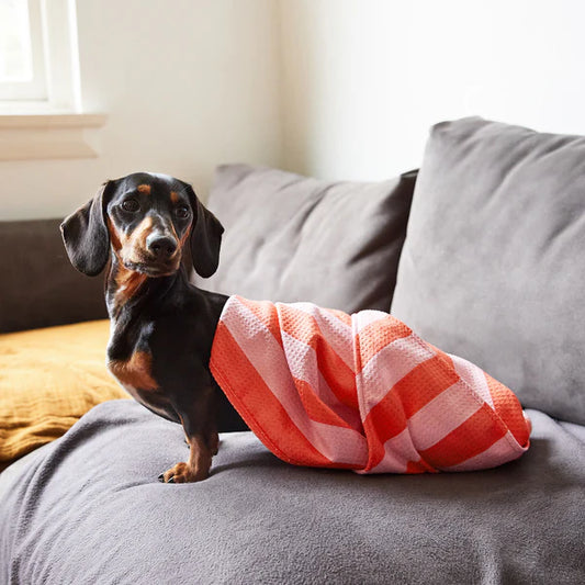 Dock & Bay Dog Towel - Canine Coral - Large 120x70cm