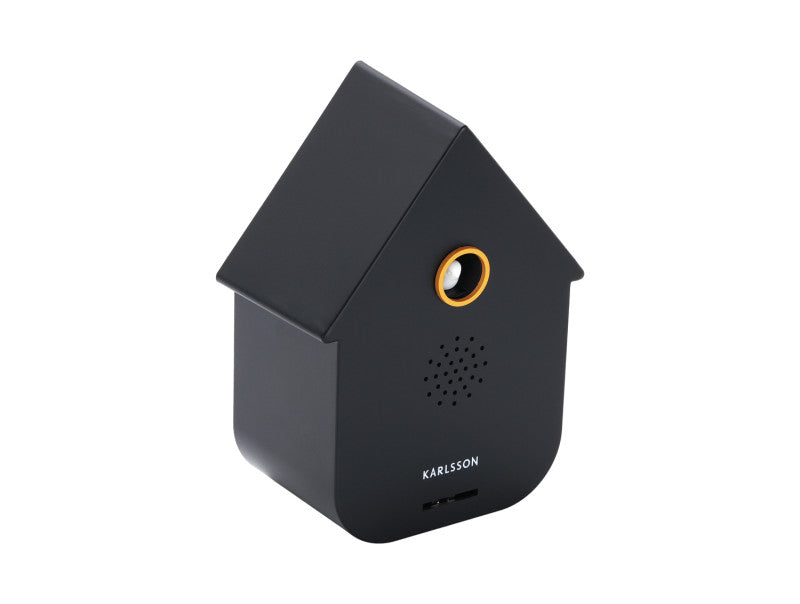 Present Time Sound Box Modern Cuckoo in Black