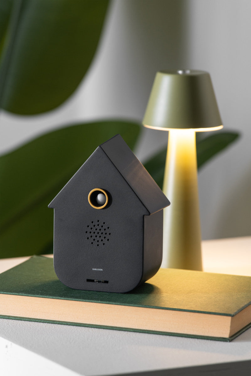 Black birdhouse-shaped device on a surface with a lamp in the background