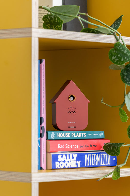 Present Time Sound Box Modern Cuckoo in Red Ochre