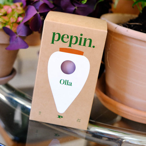 Pepin Olla Watering Bulb - Striped Green & Lilac