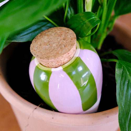 Pepin Olla Watering Bulb - Striped Green & Lilac
