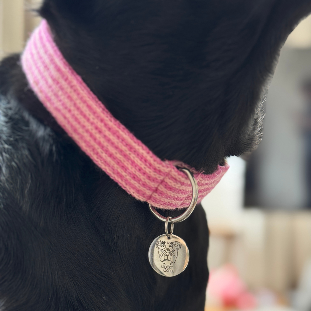 Stocky & Dee Sugarplum - Tutti Collection - Luxury Dog Collar
