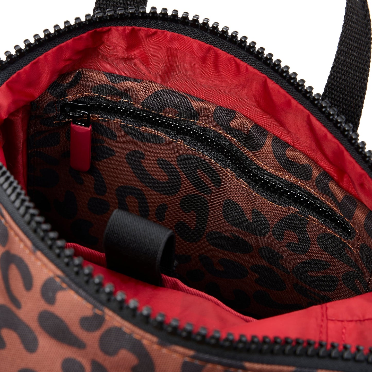 Roka London Small Canfield Roll Top Backpack in Leopard Canvas