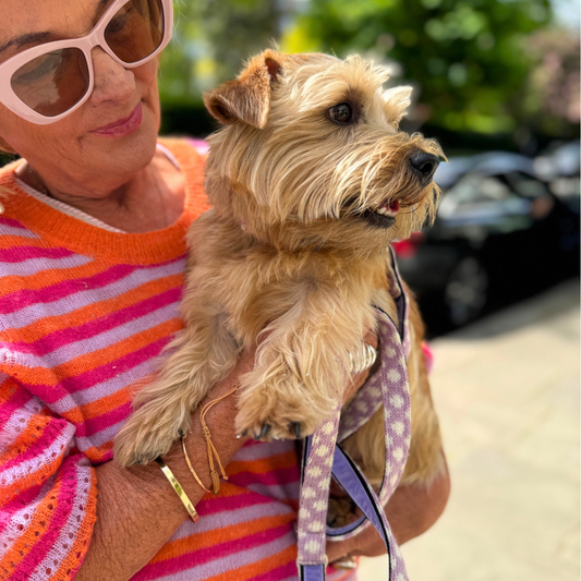 Stocky & Dee Lavender - Luxury Traditional Dog Lead