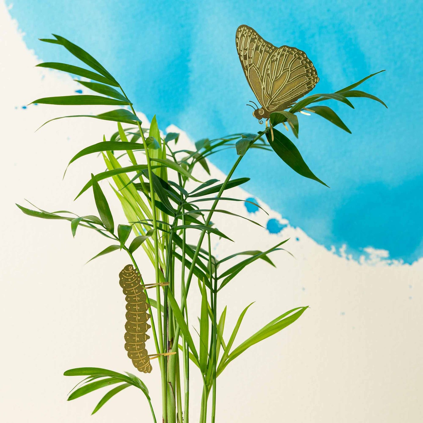 Anther Studio Plant Animal - Butterfly, house plant decoration