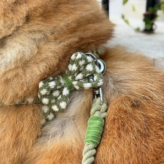 Stocky & Dee Harris Design - Fern - Dog Bow Tie