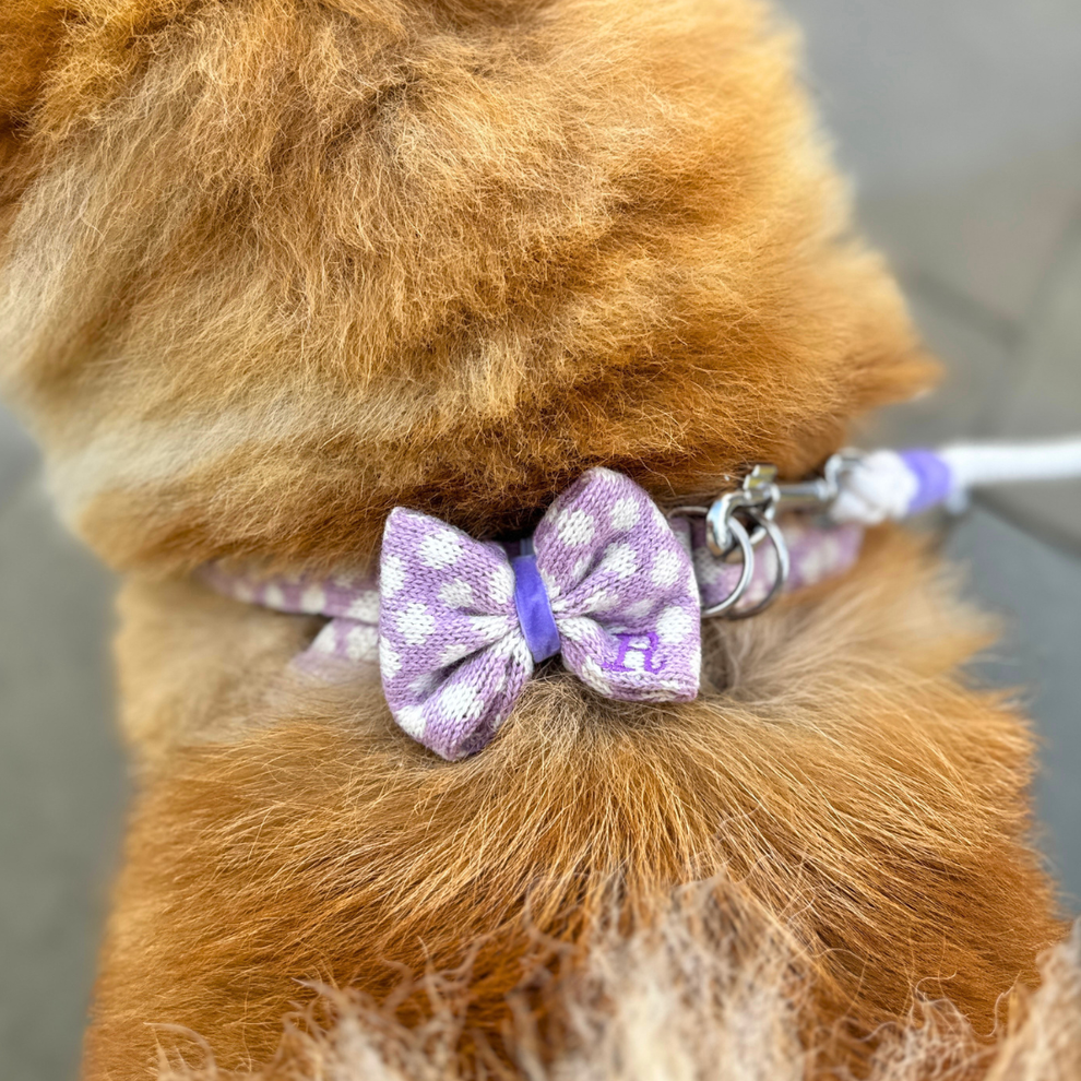 Stocky & Dee Harris Design - Lavender - Dog Bow Tie One Size
