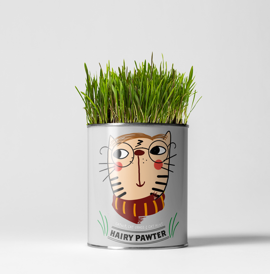 Hairy Pawter. Eco Grow Your Own Cat-Friendly Grow Kit, Gift