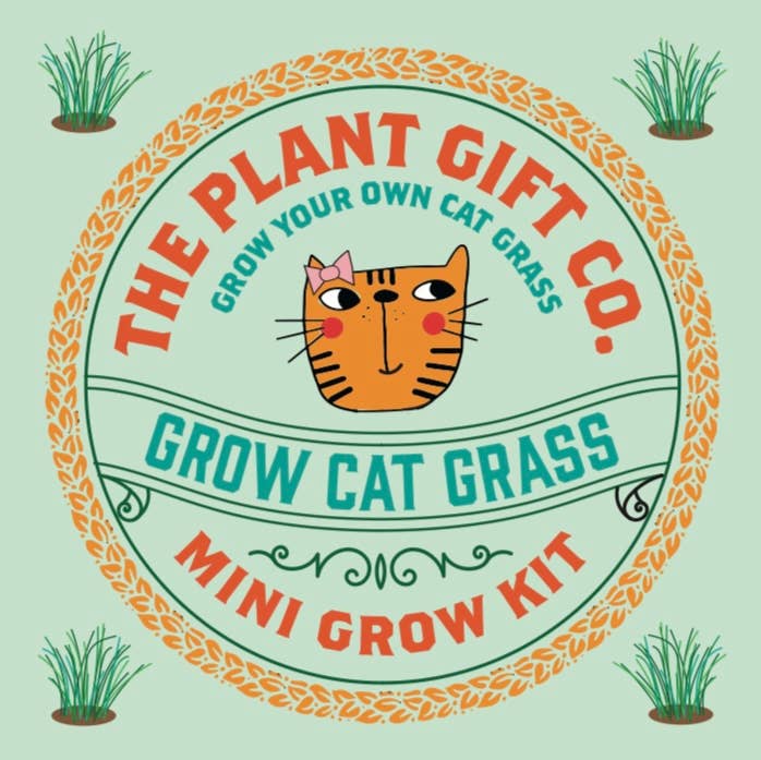 Grow Cat Grass. Eco Mini Cat Friendly Grow Kit